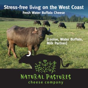 Stress-free living on the West Coast with Louise, water buffalo, milk partner
